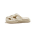 T-Rex Fossil Slide